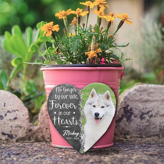 Dog Remembrance Gift Personalized Memorial Stone for Loss of Cat | Pet Memorial Plaques for Outdoors in Memory Dog Memorials | Best Condolence Gifts for Loss of Pet Cemetery Sign with Photo