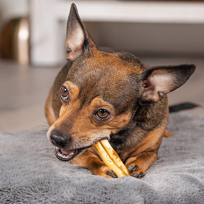 Pet Factory American Beefhide 3" Mini Rolls Dog Chew Treats - Chicken Flavor, 40 Count/1 Pack