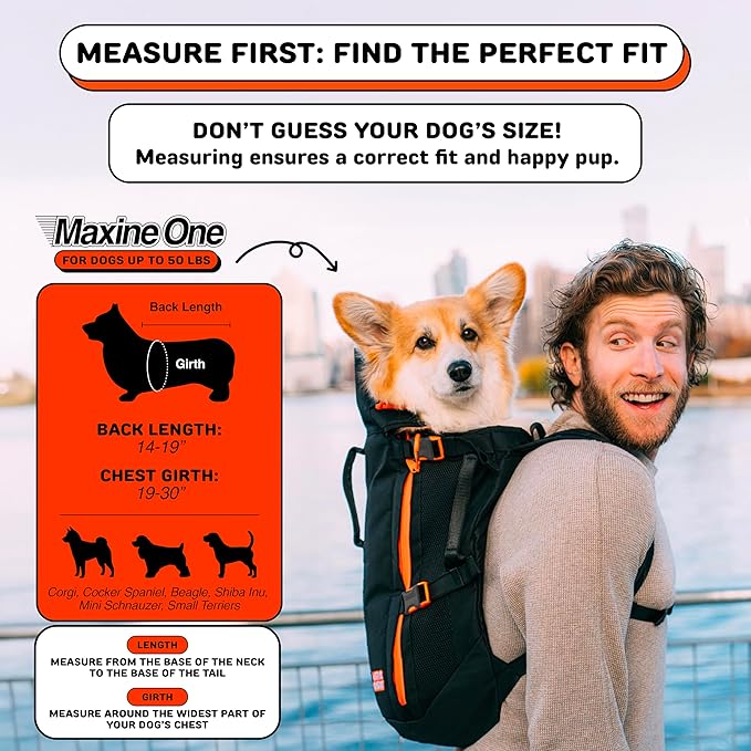 Maxine One Dog Backpack Carrier for Medium Dogs by Little Chonk | Adjustable & Ergonomic Front Facing Dog Carrier Backpack | Built to be Safer | Pet Backpack Carrier Featured in Wired Magazine - Gray