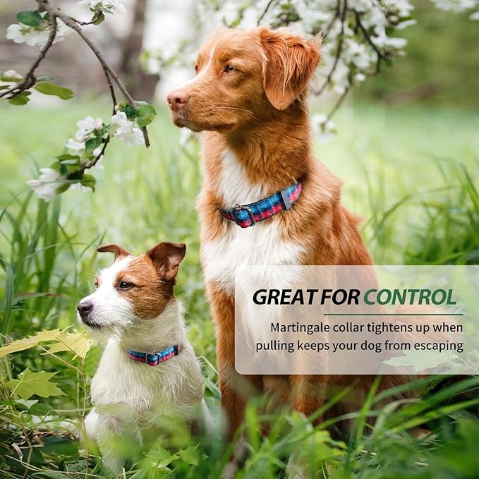 Hikiko Martingale Collar for Dogs with No Buckle Geometric Red Green Dog Collars for Medium Dogs,Gradient,M