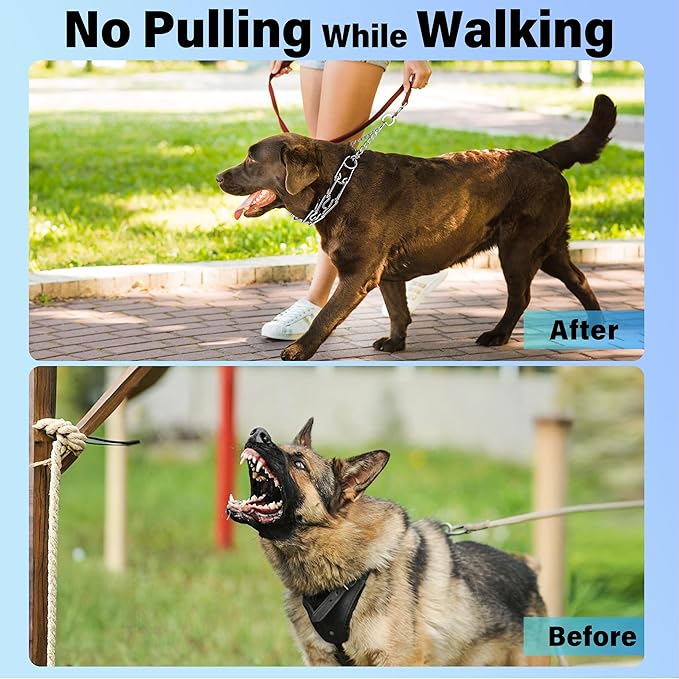Dog Training Collar, Adjustable Stainless Steel Collar with Quick Release Buckle for Small Medium Large Dogs (XL/Neck Girth 16.9"-22.2")