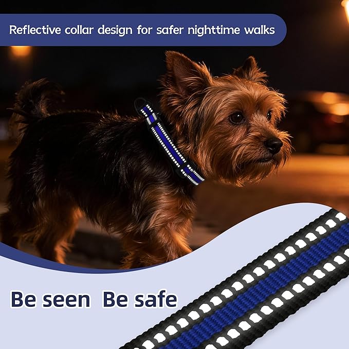 Martingale Collar for Dogs Reflective Collar with Quick Release Buckle, Adjustable Nylon Collars for No Slip Dog Collar, Blue, XS
