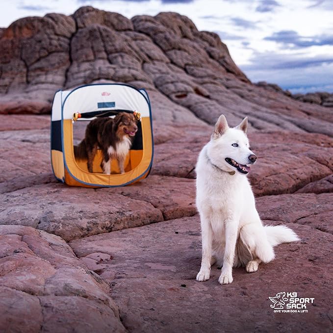 K9 Sport Sack K9 Kennel Portable Pop-Up Tent, Yellow - Large (30" L x 30" W x 30" H) - For Indoor & Outdoor Use + Travel - Includes Carry Bag & Four Stakes
