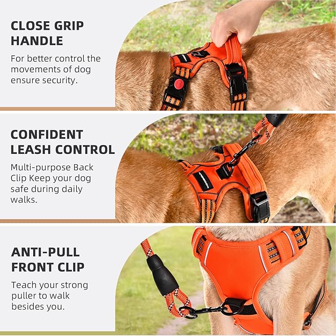 No Pull Dog Harness with A Free Heavy Duty 5ft Dog Leash, Adjustable Soft Padded Dog Vest, Reflective No-Choke Pet Oxford Vest with Easy Control Handle for Small and Large Dogs(Orange, Small)