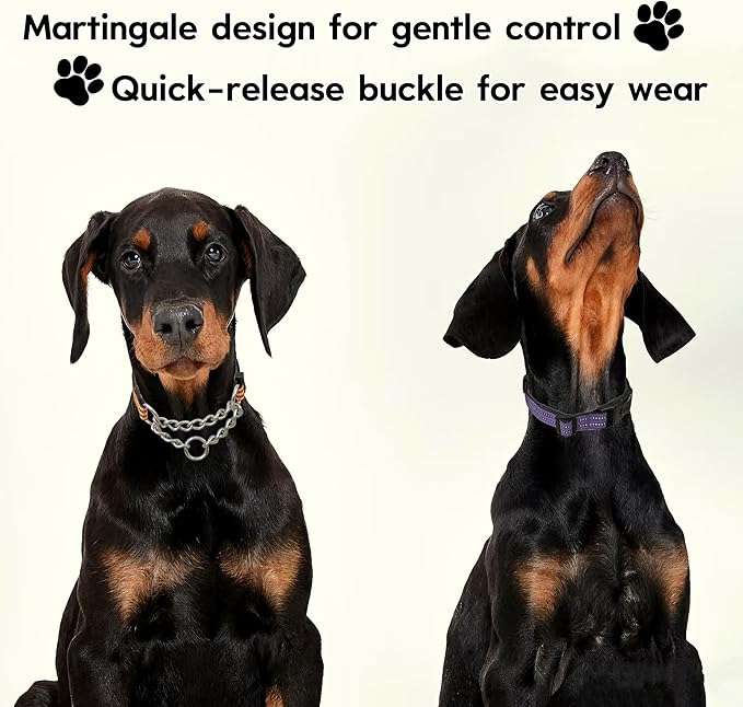 Martingale Dog Collars, Reflective Nylon Collar with Stainless Steel Chain, Adjustable Walking Training Dog Collars with Quick Release Buckle, Suitable for Small Medium Large Dogs(Purple,S)