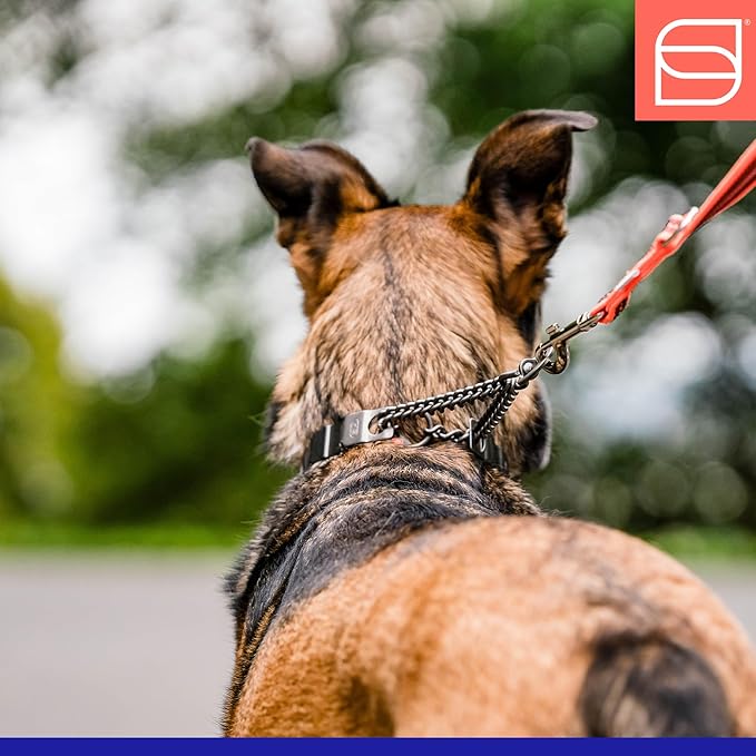 Herm. Sprenger NeckTech Sport Prong Dog Training Collar with Quick Release Snap and Swivel, Anti Pull Training Pinch Collar, Stainless Steel Black Matte (23" Neck Size; 24-25" Chain Length)