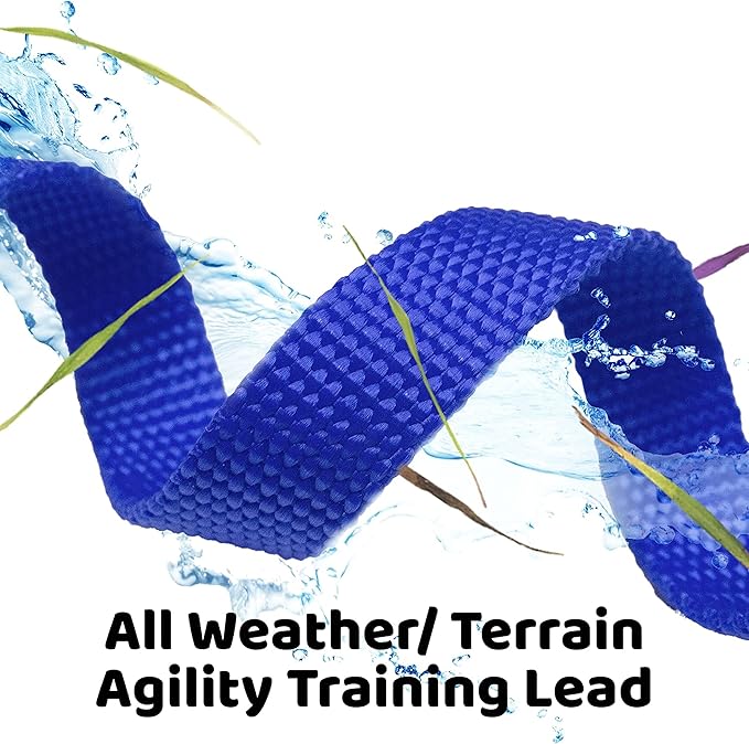 Downtown Pet Supply - Long Dog Leash - 75 ft Blue Nylon Dog Training Leash for Recall & Obedience