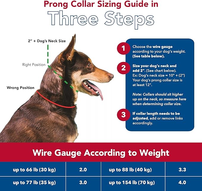 Coastal Pet Titan Dog Prong Quick Release Training Collar - Pet Training Collar for Dogs - Rust-Resistant Metal Dog Collar for Dog Training - Prong Dog Chain Collar - Quality Dog Supplies -3.3mm x 20"