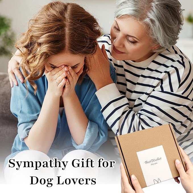 Dog Memorial Gifts - Dog Memorial Suncatcher Set with Acrylic & Crystal Suncatchers, Pet Loss Sympathy Gift (Heart)