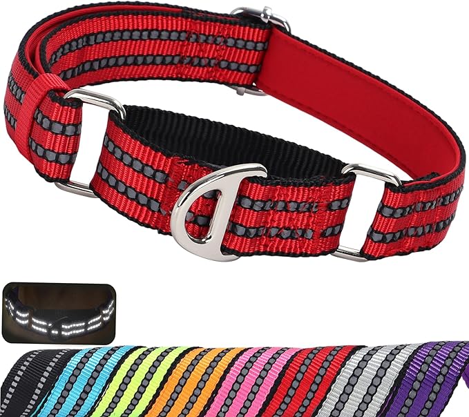 Martingale Collar for Large Dogs, Reflective Nylon No Pull Choke Collar with Padded Heavy-Safe Dog Collar for Training,Nighttime Walking & Overexcited Pulling Control Dogs,Red L