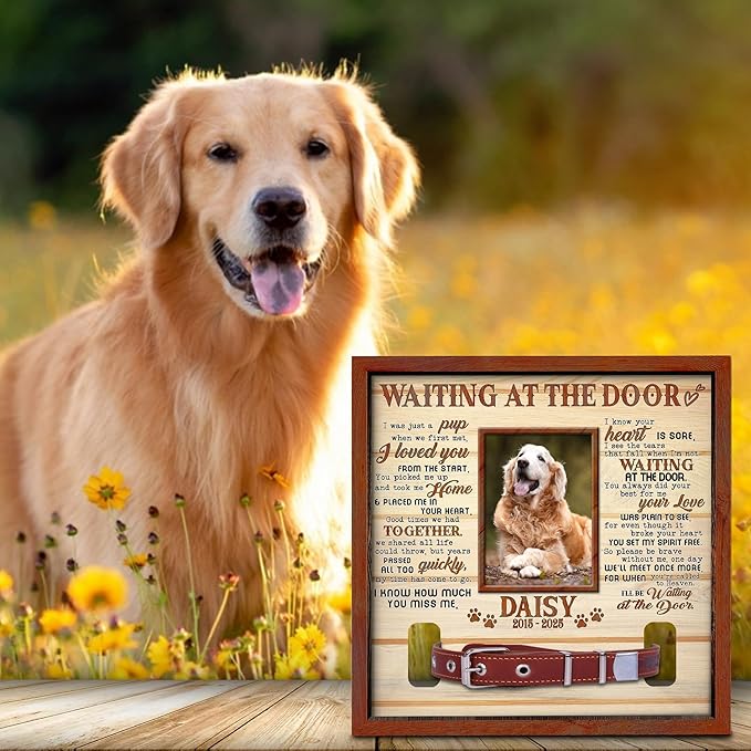 Custom Dog Collar Frame Memorial – Pet Loss Shadow Box with Photo and Collar Slot – Dogs Remembrance Gift for Passing Away – RIP Dog Tribute Display