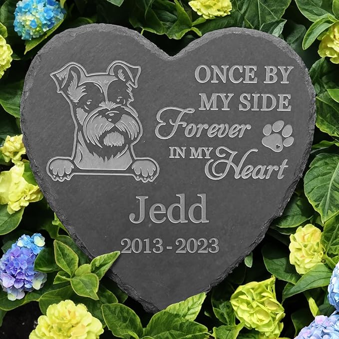Miniature Schnauzer Memorial Gifts, Miniature Schnauzer Memorial Stone, Miniature Schnauzer Keepsake, in Loving Memory Miniature Schnauzer