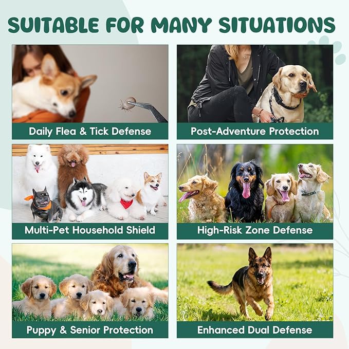 500 PCS Flea and Tick Prevention for Dogs Chewable, Natural Oral Flea and Tick Treatment, Dog Flea Chews Support Skin & Digestive Supplement for Puppies & All Breeds, Chicken Flavor