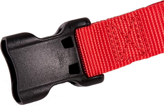 GOGO Pet Products 1-Inch Martingale Dog Collar, Large, Red