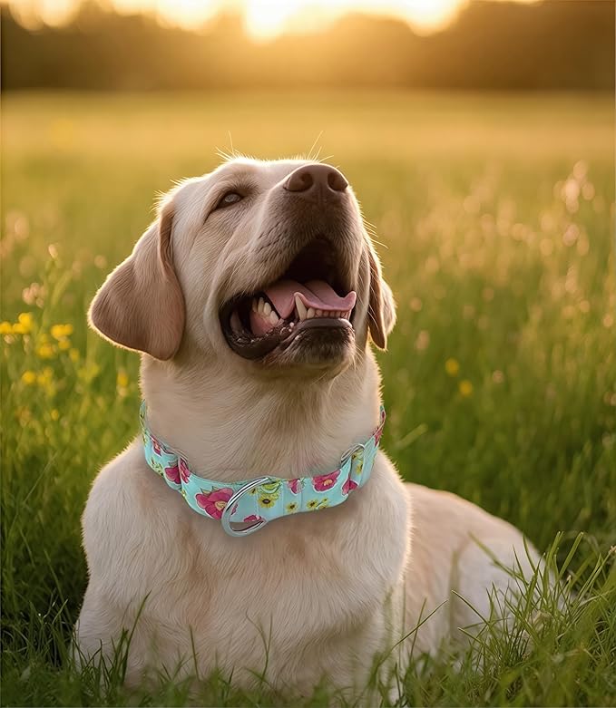 Martingale Dog Collar, Adjustable Soft No Pull Training Collar with No Buckle, Floral Pattern No Slip Martingale Collars for Small Dogs (3/4" Width S)
