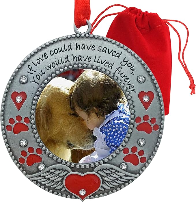Pet Memorial Ornament - Dog or Cat - Enameled & Jeweled with Red Hearts, Angel Wings & Paw Prints - Bag Included - Choose The Customized Option and We Will Insert Your Photo - 3" D