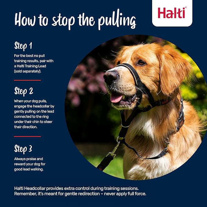 Halti Headcollar - Stop Your Dog Pulling on The Leash. Adjustable, Reflective and Lightweight, with Padded Nose Band. Dog Training Anti-Pull Collar for Medium Dogs (Size 2, Desert Sand)