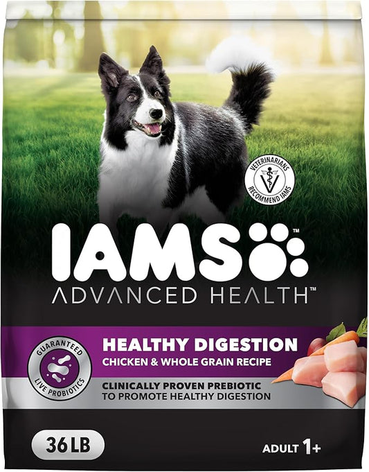 IAMS Advanced Health Dry Dog Food Healthy Digestion, Adult Dog Food with Real Chicken Recipe, 36 lb. Bag