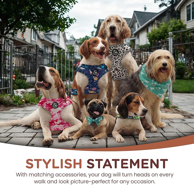 No Pull Harness and Leash Set - 6-in-1 Adjustable Vest Harness and Collars for Medium and Large Dogs. (Cosmic, Small)