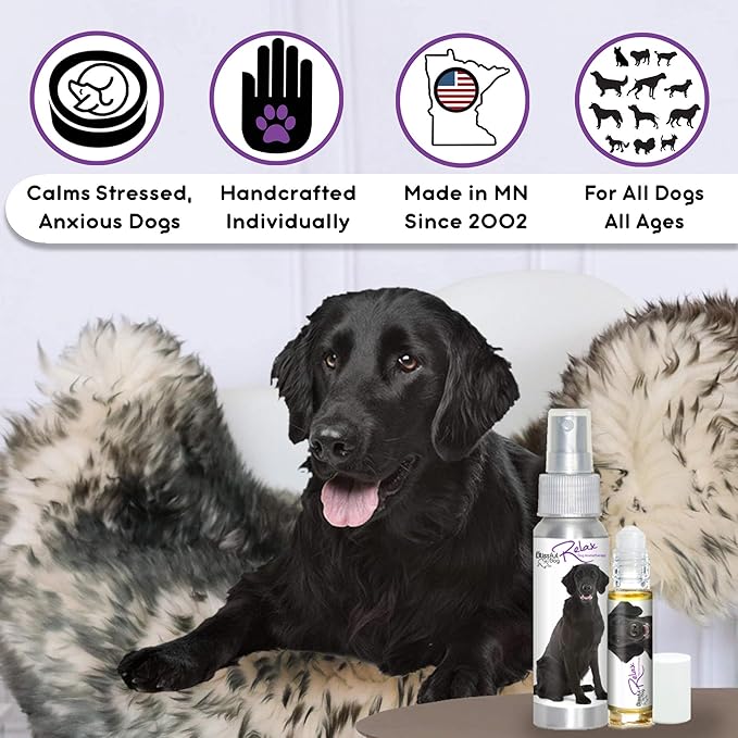 The Blissful Dog Flat-Coat Retriever Relax Roll-ON Aromatherapy for Dogs - Anxiety Relief for Dogs