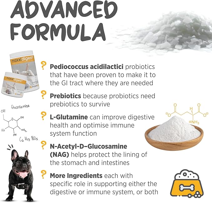 maxxipaws maxxidigest+ Prebiotic & Probiotic for Dogs 13.2oz | Dog Probiotic Powder with Advanced Digestive Enzymes for Gut Health & Immunity | Supports Digestion, Food Sensitivities & Itchy Skin