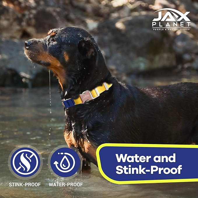 Jelly Waterproof Martingale Dog Collar, No Pull Nylon Collar with Alloy Metal Buckle & D-Ring for Outdoor Training and Walking, Anti Pull, Escape Free, One Time Adjustment- Yellow & Blue, M