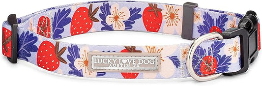 Lucky Love Dog - Adjustable Dog Collar with Easy Click Buckle for Small Dogs, Durable, & Comfortable for Male & Female Dogs, Pet Collar for Puppies & Adult Dogs - Sweet Berry, Small