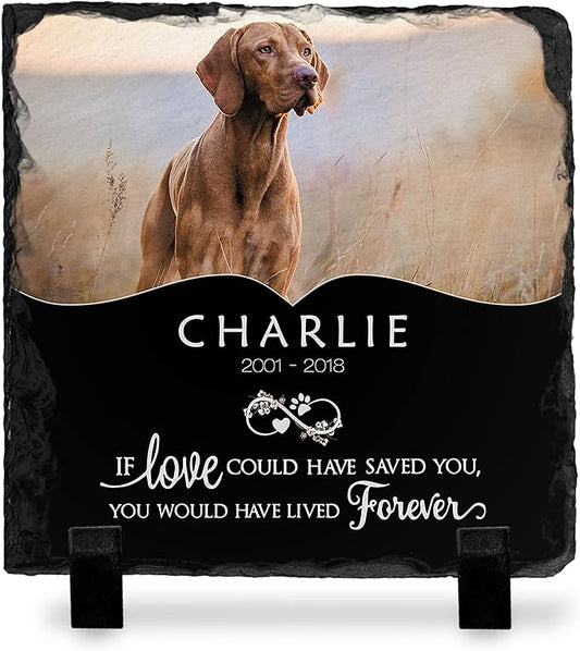 Brd Gifts Pet Memorial Stone with Photo - 6"x6" - 6 Designs - Pet Grave Marker - Pet Headstone | Dog Memorial Stone - Garden Memorial Stones - Personalized Memorial | Waterproof - Outdoor & Indoor #3