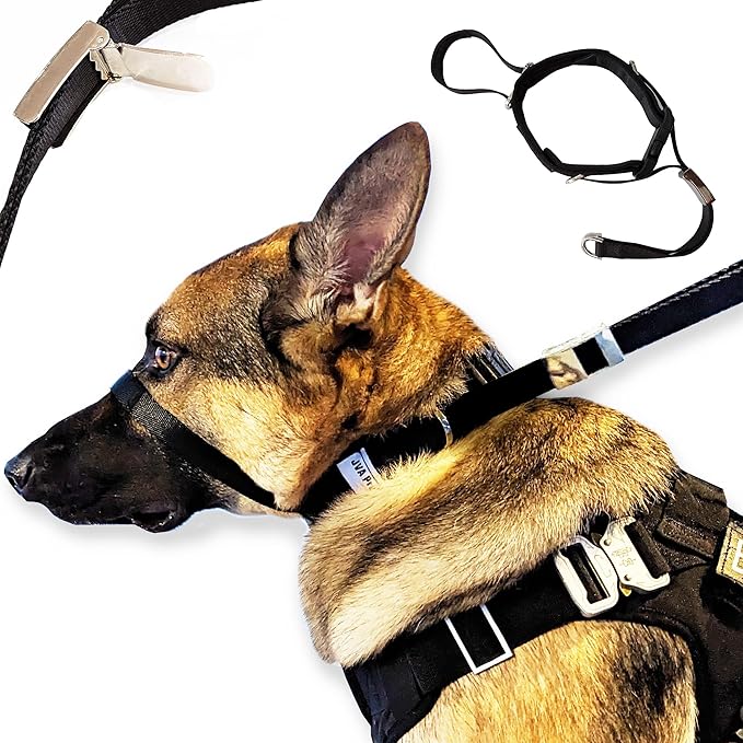 PetsProMax No-Pull Dog Headcollar for Extra Large Dogs; Instant Stop Pulling; Gentle Training Collar for Dogs; Comfortable, Safe, and Effective Walking/Training Solution (Black, XL)