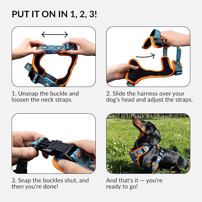 CollarDirect No Pull Reflective Dog Harness with Handle and Front Clip, Adjustible Soft Padded Vest for Small to Large Dogs Training and Walk (Size M, Pattern PT3)