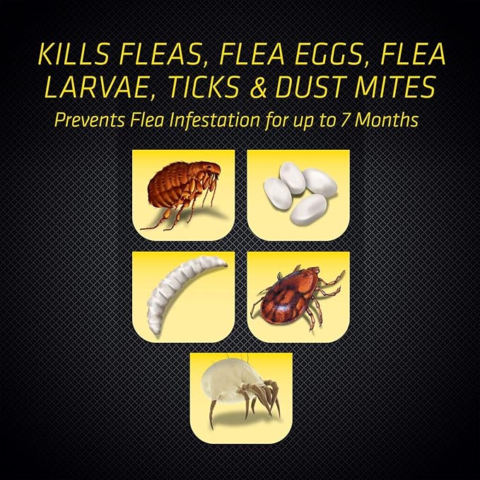 Black Flag Flea & Tick Killer for Upholstery & Pet Bedding Aerosol, 16-Ounce, 12-Pack