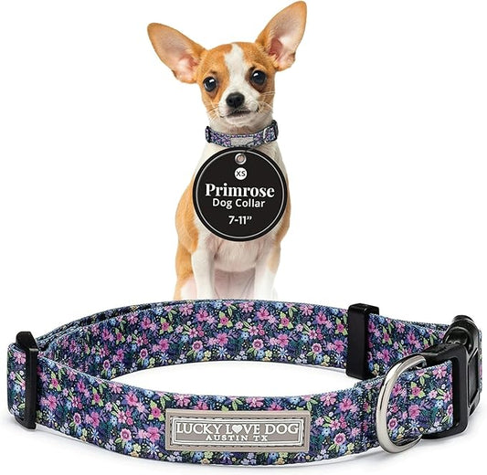 Lucky Love Dog, Comfortable, Soft, Cute Female Dog Collar for Tiny Dogs, Black & Purple Floral Print, Adjustable Nylon Collar, Primrose, X-Small