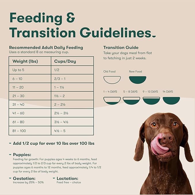 Jinx Premium Dry Dog Food, for All Lifestages - Real Beef, Brown Rice & Sweet Potato Kibble with Superfoods for Immune Support & Probiotics for Digestive Support - No Fillers - 11.5lb