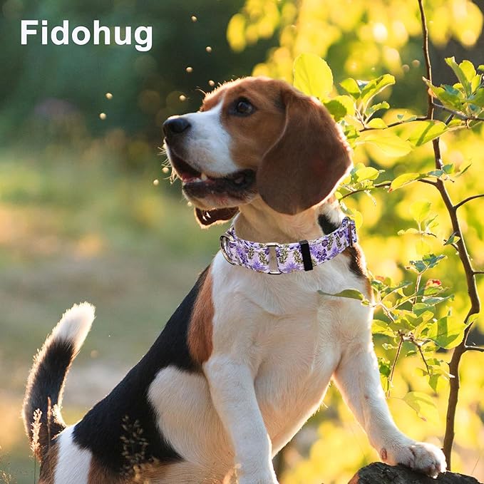 Reflective Martingale Collar for Dogs with Quick Release Buckle Cute Girl Female Flower Dog Collars (Lavender Floral, Small)