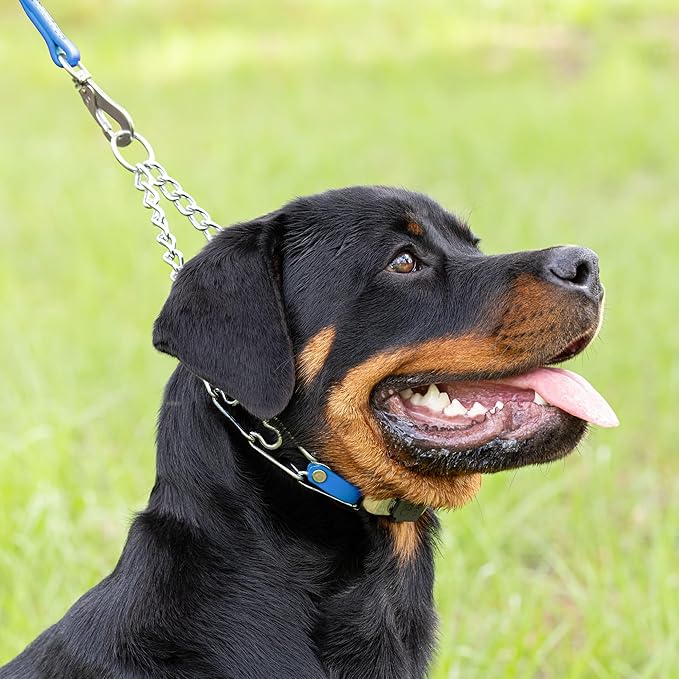 Herm Sprenger Chrome Plated Steel Dog Collar with Quick Release ClicLock Buckle O-Ring Biothane Insert Training Collar Made in Germany (Cerulean Blue, 22in x 3.0mm(Neck Size up to 18-19in))