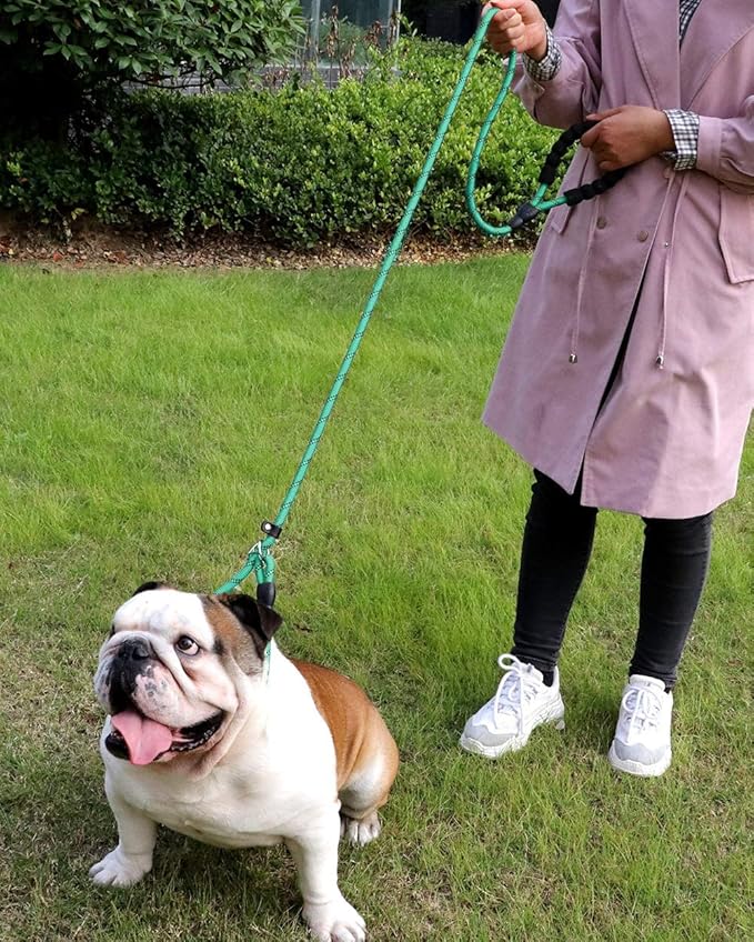TagME Slip Leads for Dogs that Pull, 6 FT No-Pull Training Leash with Lock, Escape-Proof Design, Reflective & Padded Handle for Large Dogs, Turquoise