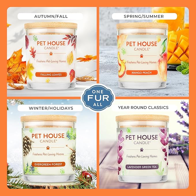 One Fur All Pet House Fall Candles, Long Lasting, Clean Burning, Soy Wax Scented Candles for Pet Odor, Orange Spice, 2 Pack