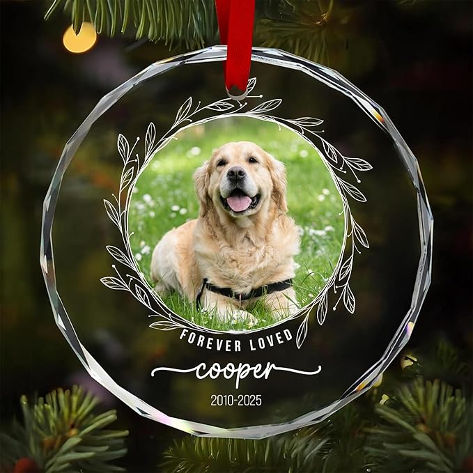 Personalized Dog Loss Crystal Ornament - Customize Dog Photo and Name Glass Memorial Ornament, Custom Dogs Sympathy Gifts, Puppy Condolence Gift, Pet in Memory Keepsake, Remembrance Gifts for Pet