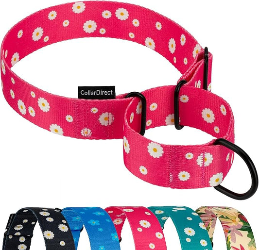 CollarDirect Martingale Collars for Dogs Heavy Duty Floral Pattern Female Safety Nylon Training Wide Collar Flower Design Large Medium (XL, Neck Size 19"-24", Pink)