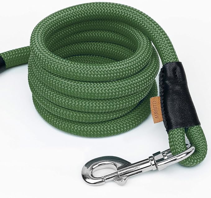 Dog Leash, Braided Rope Traction – Walking Training Lead for Small Dogs ((1/3") x 6FT, Dark Green)