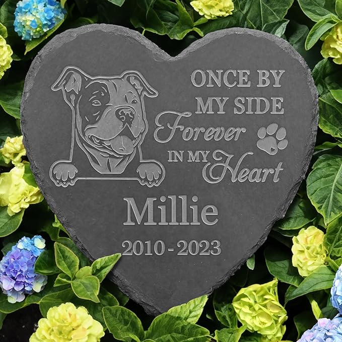 American Bully Memorial Gifts, American Bully Memorial Stone, American Bully Keepsake, in Loving Memory American Bully
