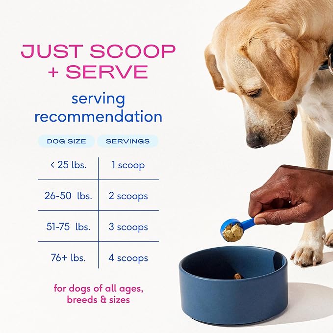 Native Pet Hip & Joint Advanced Care Dog Joint Supplement Powder for Mobility & Movement Support, Joint Supplement for Dogs with HMB, UC-II Collagen, Green Lipped Mussel & Hyaluronic Acid-120 Scoops