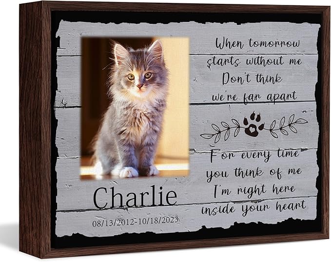 Custom Pet Sympathy Gift for Dog Cat Lovers, Dog Memorial Gifts for Loss of Dog Cat, Personalized Pet Memorial Canvas with Photo, Customized Wall Art Home Decor with Name and Text