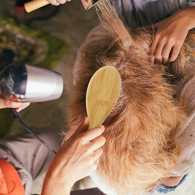 Dog Grooming Brush - 20mm Stainless Steel Round Pins, Bamboo Handle, No Scratch Brush for All Hair Types (1Pc)