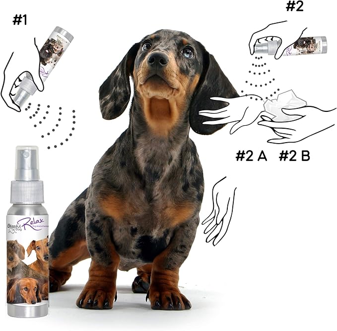 The Blissful Dog Dachshund Relax Dog Aromatherapy Spray for Your Dog's Anxiety