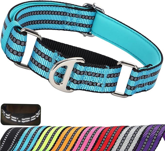 Martingale Dog Collar for Medium Dogs,Reflective Nylon No Pull Choke Collar with Padded Heavy-Duty Metal D-Ring No Buckle for Nighttime Walking & Training -Blue M