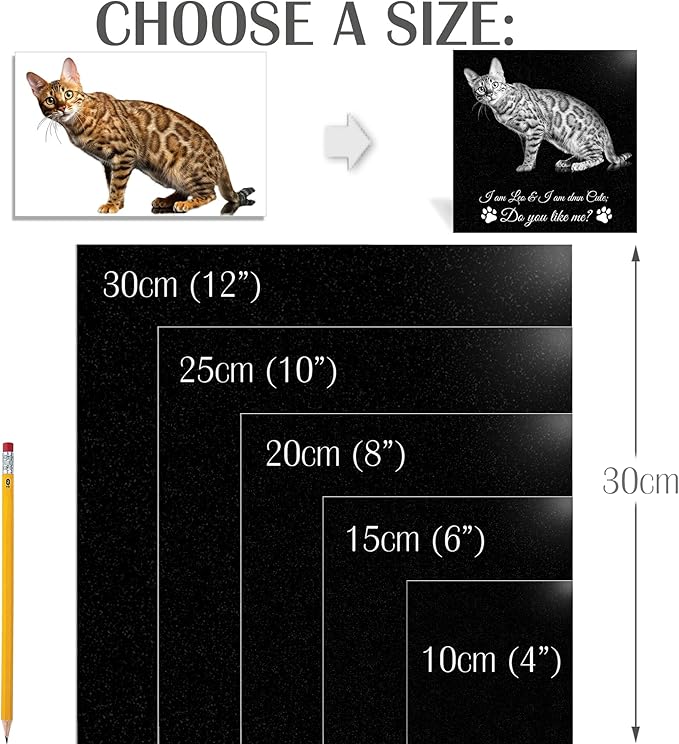 ADFSTONE 8" Pet Memorial Stones Personalized Dog Remembrance Gifts, Customized Cat Picture Grieving Plaque, DIY Gravestone, Custom Sympathy Photo Gift, Animal Grave Markers, Little Tombstones
