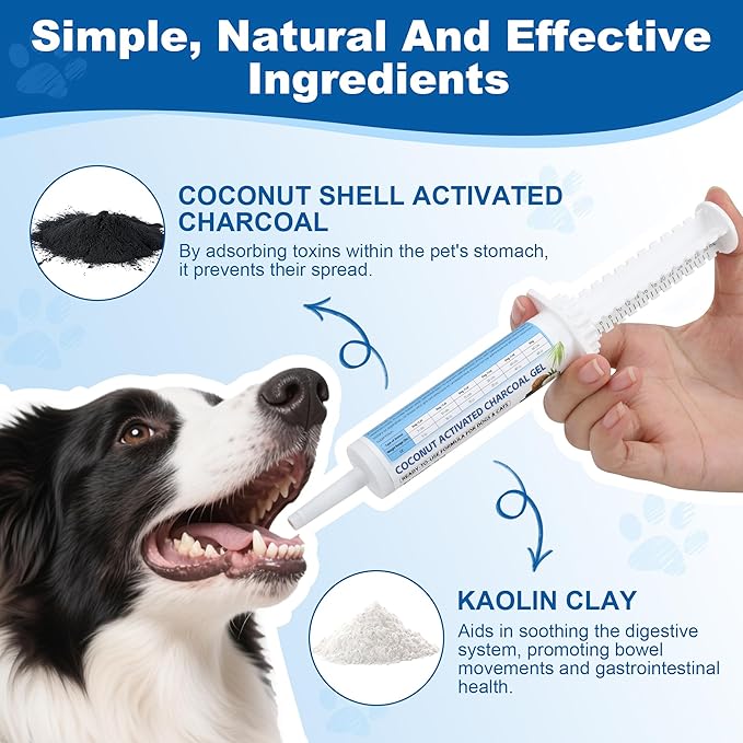 Pet Emergency Activated Charcoal Paste, Toxin Absorber for Dogs & Cats, Aids Digestive System Recovery, Pet First Aid Kit, 30 ml