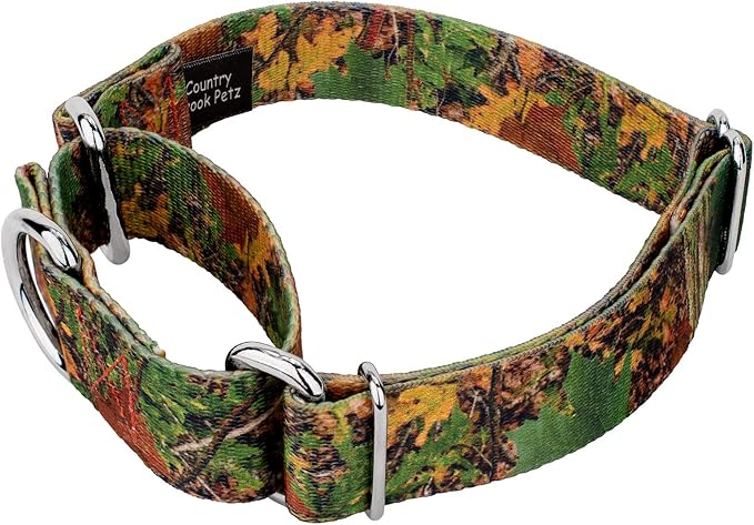 Country Brook Petz - Southern Forest Camo Martingale Dog Collar - Camouflage Collection Featuring Rugged Designs (1 Inch, Large)