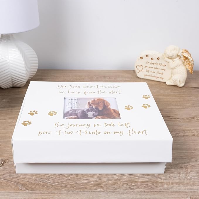 Pavilion Gift Company - Paw Prints On My Heart - Memory Box With 5" x 4" Photo Holder Loss Of Pet Cat Dog Bereavement In Memory
